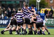 20 March 2024; Frank Maher of Terenure College in a maul with James Whitty of St Mary’s College during the Bank of Ireland Leinster Schools Junior Cup final match between St Mary's College and Terenure College at Energia Park in Dublin. Photo by Daire Brennan/Sportsfile