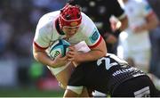 23 March 2024; Tom Stewart of Ulster is tackled by Jeandre Labuschagne of Hollywoodbets Sharks during the United Rugby Championship match between Hollywoodbets Sharks and Ulster at Hollywoodbets Kings Park in Durban, South Africa. Photo by Shaun Roy/Sportsfile