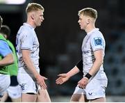 23 March 2024; Jamie Osborne and Andrew Osborne of Leinster during the United Rugby Championship match between Zebre Parma and Leinster at Stadio Sergio Lanfranchi in Parma, Italy. Photo by Harry Murphy/Sportsfile