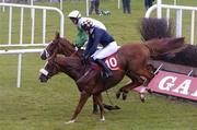 29 July 2004; Eventual winner Swordplay with Ruby Walsh up, 10, clears the last first time around on their way to winning the Budweiser Novice Chase. Galway Races, Ballybrit, Co. Galway. Picture credit; Pat Murphy / SPORTSFILE