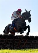 30 March 2024; Don Chalant, with Michael O'Sullivan up, jump the last on their way to winning the Tom Quinlan Electrical Maiden Hurdle on day one of the Fairyhouse Easter Festival at Fairyhouse Racecourse in Ratoath, Meath. Photo by Seb Daly/Sportsfile