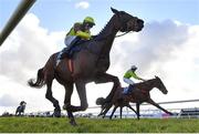 30 March 2024; Olympic Man, left, with Paul Townend up, leads eventual winner Mousey Brown, right, with Conor Maxwell up, on their way to finishing second in the INH Stallion Owners EBF Novice Handicap Hurdle Series Final on day one of the Fairyhouse Easter Festival at Fairyhouse Racecourse in Ratoath, Meath. Photo by Seb Daly/Sportsfile