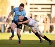 30 March 2024; Bobby Sheehan of UCD is tackled by Diarmuid McCormack of Dublin University  during the annual Men’s Rugby Colours match between Dublin University and UCD at College Park in Trinity College, Dublin. Photo by Sam Barnes/Sportsfile