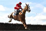 31 March 2024; Rath Gaul Boy, with Paul Townend up, jump the last on their way to winning the Ryan's Cleaning Maiden Hurdle on day two of the Fairyhouse Easter Festival at Fairyhouse Racecourse in Ratoath, Meath. Photo by Seb Daly/Sportsfile