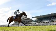 31 March 2024; Jade De Grugy, with Paul Townend up, on their way to winning the Irish Stallion Farms EBF Honeysuckle Mares Novice Hurdle on day two of the Fairyhouse Easter Festival at Fairyhouse Racecourse in Ratoath, Meath. Photo by Seb Daly/Sportsfile