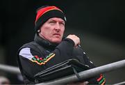 31 March 2024; Suspended Carlow manager Tom Mullally watches on from the stands during the Allianz Hurling League Division 2A Final match between Carlow and Laois at Netwatch Cullen Park in Carlow. Photo by Ben McShane/Sportsfile