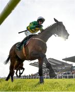 31 March 2024; Spillane's Tower, with Mark Walsh up, on their way to winning the WillowWarm Gold Cup on day two of the Fairyhouse Easter Festival at Fairyhouse Racecourse in Ratoath, Meath. Photo by Seb Daly/Sportsfile