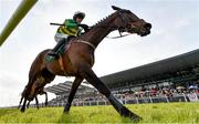 31 March 2024; Spillane's Tower, with Mark Walsh up, on their way to winning the WillowWarm Gold Cup on day two of the Fairyhouse Easter Festival at Fairyhouse Racecourse in Ratoath, Meath. Photo by Seb Daly/Sportsfile