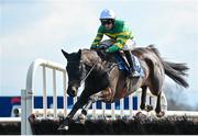 31 March 2024; Mirazur West, with Mark Walsh up, on their way to winning the Donohue Marquees Novice Hurdle on day two of the Fairyhouse Easter Festival at Fairyhouse Racecourse in Ratoath, Meath. Photo by Seb Daly/Sportsfile