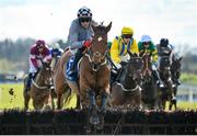 31 March 2024; Champagne Admiral, with Keith Donoghue up, during the Paddy Kehoe Suspended Ceilings Novice Hurdle on day two of the Fairyhouse Easter Festival at Fairyhouse Racecourse in Ratoath, Meath. Photo by Seb Daly/Sportsfile