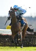 31 March 2024; Jade De Grugy, with Paul Townend up, on their way to winning the Irish Stallion Farms EBF Honeysuckle Mares Novice Hurdle on day two of the Fairyhouse Easter Festival at Fairyhouse Racecourse in Ratoath, Meath. Photo by Seb Daly/Sportsfile