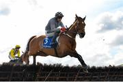 31 March 2024; Champagne Admiral, with Keith Donoghue up, during the Paddy Kehoe Suspended Ceilings Novice Hurdle on day two of the Fairyhouse Easter Festival at Fairyhouse Racecourse in Ratoath, Meath. Photo by Seb Daly/Sportsfile