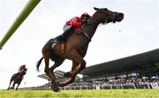 31 March 2024; Blood Destiny, with Paul Townend up, during the WillowWarm Gold Cup on day two of the Fairyhouse Easter Festival at Fairyhouse Racecourse in Ratoath, Meath. Photo by Seb Daly/Sportsfile