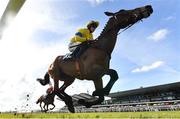 31 March 2024; Spindleberry, with Michael O'Sullivan up, during the Irish Stallion Farms EBF Honeysuckle Mares Novice Hurdle on day two of the Fairyhouse Easter Festival at Fairyhouse Racecourse in Ratoath, Meath. Photo by Seb Daly/Sportsfile