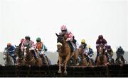 1 April 2024; Single Edition, centre, with Sean Flanagan up, jump the last during the first circuit during the Farmhouse Foods Novice Handicap Hurdle on day three of the Fairyhouse Easter Festival at Fairyhouse Racecourse in Ratoath, Meath. Photo by Seb Daly/Sportsfile