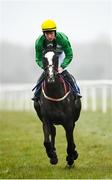 1 April 2024; Jockey Donagh Meyler and Where's Frankie go to post before the BoyleSports Irish Grand National Steeplechase on day three of the Fairyhouse Easter Festival at Fairyhouse Racecourse in Ratoath, Meath. Photo by Seb Daly/Sportsfile