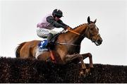 1 April 2024; Journey With Me, with Darragh O'Keeffe up, during the McInerney Properties Fairyhouse Steeplechase on day three of the Fairyhouse Easter Festival at Fairyhouse Racecourse in Ratoath, Meath. Photo by Seb Daly/Sportsfile