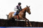1 April 2024; Journey With Me, with Darragh O'Keeffe up, during the McInerney Properties Fairyhouse Steeplechase on day three of the Fairyhouse Easter Festival at Fairyhouse Racecourse in Ratoath, Meath. Photo by Seb Daly/Sportsfile