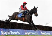 1 April 2024; Saint Sam, with Paul Townend up, during the McInerney Properties Fairyhouse Steeplechase on day three of the Fairyhouse Easter Festival at Fairyhouse Racecourse in Ratoath, Meath. Photo by Seb Daly/Sportsfile