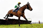 1 April 2024; Positive Thinker, with Cian Quirke up, during the Fairyhouse Steel Handicap Hurdle on day three of the Fairyhouse Easter Festival at Fairyhouse Racecourse in Ratoath, Meath. Photo by Seb Daly/Sportsfile