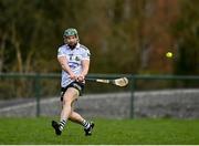 31 March 2024; Kevin McKernan of Warwickshire during the Allianz Hurling League Division 3B Final match between Fermanagh and Warwickshire at St Joseph's Park in Ederney, Fermanagh. Photo by Sam Barnes/Sportsfile