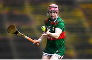 31 March 2024; Liam Lavin of Mayo during the Allianz Hurling League Division 3A Final match between Mayo and Sligo at Hastings Insurance MacHale Park in Castlebar, Mayo. Photo by Tyler Miller/Sportsfile