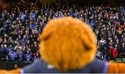6 April 2024; Supporters with Leo the Lion before the Investec Champions Cup Round of 16 match between Leinster and Leicester Tigers at the Aviva Stadium in Dublin. Photo by Ramsey Cardy/Sportsfile