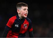 6 April 2024; Action from the Bank of Ireland Half-time Minis match between Birr and Coolmine at the Investec Champions Cup Round of 16 match between Leinster and Leicester Tigers at the Aviva Stadium in Dublin. Photo by Tyler Miller/Sportsfile