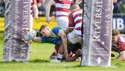 7 April 2024; Mark Kehoe of Gorey RFC scores a try against Tullow RFC during the Bank of Ireland Provincial Towns Cup semi-final match between Gorey and Tullow at Enniscorthy RFC in Wexford. Photo by Matt Browne/Sportsfile