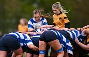 14 April 2024; Lily Cunningham of Athy feeds the scrum during the Cusack Plate final match between Athy and Ashbourne during the Bank of Ireland Leinster Rugby Women Finals Day at Balbriggan RFC in Dublin. Photo by Ben McShane/Sportsfile