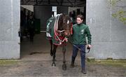 16 April 2024; I Am Maximus with groom Steven Cahill during the homecoming of Aintree Grand National winner I Am Maximus at Closutton in Carlow. Photo by Seb Daly/Sportsfile