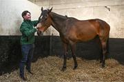 16 April 2024; I Am Maximus and groom Steven Cahill in the stables before the homecoming of Aintree Grand National winner I Am Maximus at Closutton in Carlow. Photo by Seb Daly/Sportsfile