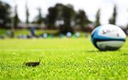 18 April 2024; A locust is seen during a Leinster Rugby squad training session at St Peter's College in Johannesburg, South Africa. Photo by Harry Murphy/Sportsfile