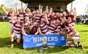 21 April 2024; Tullow RFC players celebrate with the Towns Cup after the Bank of Ireland Provincial Towns Cup final match between Ashbourne RFC and Tullow RFC at Carlow RFC in Carlow. Photo by Matt Browne/Sportsfile