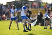 21 April 2024; Jamie Barron of Waterford celebrates after scoring a late point during the Munster GAA Hurling Senior Championship Round 1 match between Waterford and Cork at Walsh Park in Waterford. Photo by Brendan Moran/Sportsfile
