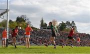 27 April 2024; Ceilum Doherty of Down, right, celebrates after scoring his side's first goal during the Ulster GAA Football Senior Championship semi-final match between Down and Armagh at St Tiernach's Park in Clones, Monaghan. Photo by Stephen McCarthy/Sportsfile