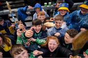 28 April 2024; Limerick supporters before the Munster GAA Hurling Senior Championship Round 2 match between Limerick and Tipperary at TUS Gaelic Grounds in Limerick. Photo by Tom Beary/Sportsfile