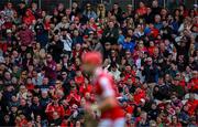 28 April 2024; Cork supporters amongst the 36,814 attendance at the Munster GAA Hurling Senior Championship Round 2 match between Cork and Clare at SuperValu Páirc Ui Chaoimh in Cork. Photo by Ray McManus/Sportsfile