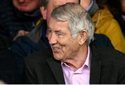 28 April 2024; Politician Michael Lowry TD in attendance during the Munster GAA Hurling Senior Championship Round 2 match between Limerick and Tipperary at TUS Gaelic Grounds in Limerick. Photo by Brendan Moran/Sportsfile