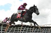 1 May 2024; Harsh, with Danny Gilligan up, jumps the last on their way to winning the Adare Manor Opportunity Series Final Handicap Hurdle during day two of the Punchestown Festival at Punchestown Racecourse in Kildare. Photo by Seb Daly/Sportsfile