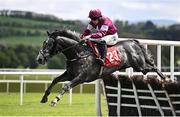 1 May 2024; Harsh, with Danny Gilligan up, jumps the last on their way to winning the Adare Manor Opportunity Series Final Handicap Hurdle during day two of the Punchestown Festival at Punchestown Racecourse in Kildare. Photo by Seb Daly/Sportsfile