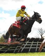 1 May 2024; Mister Beeton, with Peter Smithers up, jumps the last during the Adare Manor Opportunity Series Final Handicap Hurdle during day two of the Punchestown Festival at Punchestown Racecourse in Kildare. Photo by Seb Daly/Sportsfile