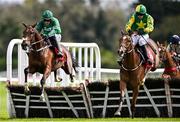 1 May 2024; Gorgeous Tom, right, with Sean O'Keeffe up, jumps the last on their way to winning the Louis Fitzgerald Hotel Hurdle, from eventual second place Mistergif, left, with Paul Townend up, during day two of the Punchestown Festival at Punchestown Racecourse in Kildare. Photo by Seb Daly/Sportsfile