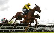 1 May 2024; Dancing City, with Paul Townend up, jumps the last on their way to winning the Channor Real Estate Group Novice Hurdle during day two of the Punchestown Festival at Punchestown Racecourse in Kildare. Photo by Seb Daly/Sportsfile