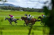 1 May 2024; A general view of the Race and Stay At Punchestown Champion INH Flat Race during day two of the Punchestown Festival at Punchestown Racecourse in Kildare. Photo by David Fitzgerald/Sportsfile