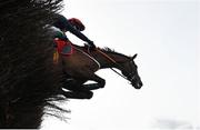 1 May 2024; Fastorslow, with JJ Slevin up, jumps the last on their way to winning the Ladbrokes Punchestown Gold Cup during day two of the Punchestown Festival at Punchestown Racecourse in Kildare. Photo by Seb Daly/Sportsfile