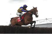 1 May 2024; Corach Rambler, with Derek Fox up, during the Ladbrokes Punchestown Gold Cup during day two of the Punchestown Festival at Punchestown Racecourse in Kildare. Photo by Seb Daly/Sportsfile