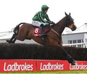 1 May 2024; Hewick, with Jordan Gainford up, during the Ladbrokes Punchestown Gold Cup during day two of the Punchestown Festival at Punchestown Racecourse in Kildare. Photo by Seb Daly/Sportsfile
