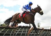 1 May 2024; Napper Tandy, with James Smith up, during the Adare Manor Opportunity Series Final Handicap Hurdle during day two of the Punchestown Festival at Punchestown Racecourse in Kildare. Photo by Seb Daly/Sportsfile