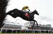 1 May 2024; Galopin Des Champs, with Paul Townend up, jumps the last during the Ladbrokes Punchestown Gold Cup during day two of the Punchestown Festival at Punchestown Racecourse in Kildare. Photo by Seb Daly/Sportsfile